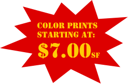 Color Prints Starting at $7.00